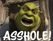 shrek from the movie shrek says " asshole " with his mouth open