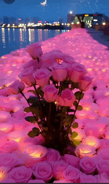 a bunch of pink roses are surrounded by lit candles