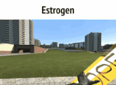 a screenshot of a video game with the word estrogen on it
