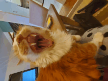 a cat with its mouth open yawning in front of a laptop