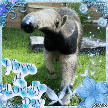 a picture of a bear with the words have a lovely day written on it