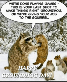 two raccoons and two squirrels in the snow with a speech bubble saying we 're done playing games