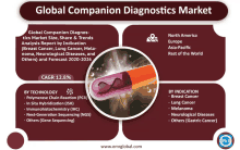 a poster for the global companion diagnostics market shows a picture of a capsule