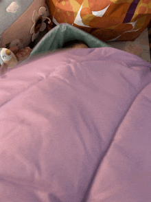 a child is sleeping in a purple sleeping bag