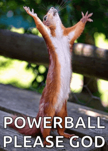 a squirrel with its arms in the air and the words powerball please god