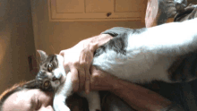 a man is holding a black and white cat