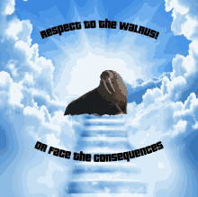 a walrus sitting on a staircase in the clouds with the words respect to the walrus on face the consequences