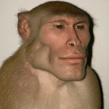 a close up of a monkey with a man 's face on it