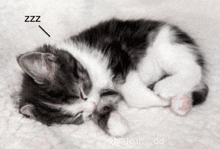 a black and white kitten is sleeping on a white blanket with the word zzz above it