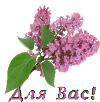 a bunch of purple flowers with the words " для вас " written below them