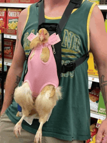 a man carrying a chicken wearing a pink cheez it outfit