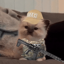 a kitten wearing a u.s.e.c hat and a vest