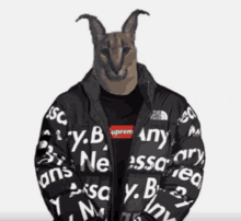 a cat wearing a supreme jacket and a black shirt