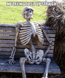 a skeleton is sitting on a wooden bench with the caption " me trying to sit up straight "