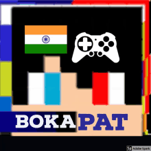 a game controller with the flag of india on top of it