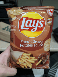 a person is holding a bag of lays fries n gravy potato sauce