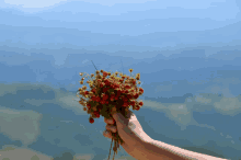 a person holding a bouquet of red berries in front of a blue sky