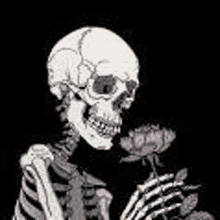 a black and white drawing of a skeleton holding a pink rose .