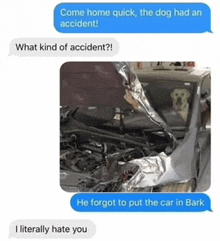 a dog is sitting in the driver 's seat of a damaged car