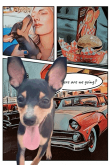 a comic strip with a dog and a car and a speech bubble that says ' where are we going '