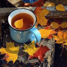 a cup of tea with a leaf in it is surrounded by leaves on a log .