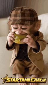a baby monkey wearing a plaid hat is eating a donut from a star tamilchat.in website