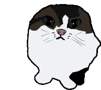 a drawing of a black and white cat with a serious look on its face