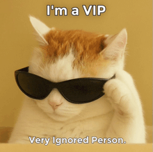 a cat wearing sunglasses with the caption i 'm a vip
