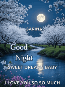 a picture of a river with the words " good night sweet dreams baby i love you so much "