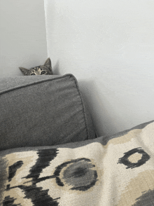 a cat peeking over the back of a couch next to a pillow that says ' hoo '