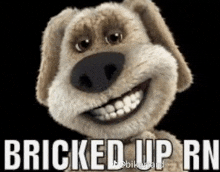 a stuffed dog is smiling with the words `` bricked up rn '' written on it .