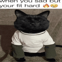 a black cat wearing a white shirt with green sleeves and a caption that says " when you sad but your fit hard "