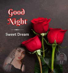 a picture of red roses with the words " good night sweet dream "