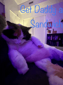 a cat laying on a couch with the words get daddy a sandwich below it