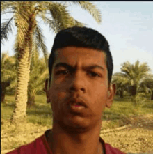 a man in a red shirt stands in front of palm trees