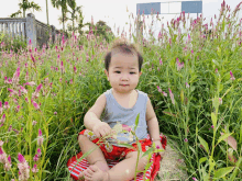 a baby is sitting in a field of flowers