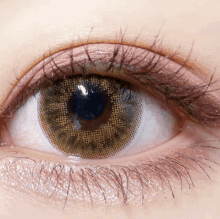 a close up of a woman 's eye with mascara