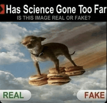 a small dog is standing on a pile of pancakes in the sky