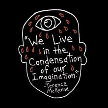 a drawing of a head with a quote by terence mckenna on it .