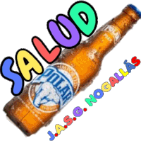 a drawing of a beer bottle with the words salud written above it