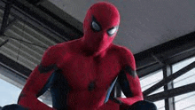 a close up of a person in a spiderman costume sitting on a chair in a room .