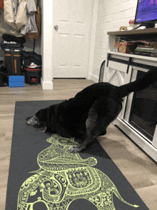 a black dog laying on a yoga mat in front of a tv