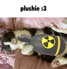 a cat laying on a bed with a bomb on its back and the words plushie : 3 below it