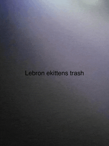 a gray background with the words lebron ekittens trash written on it