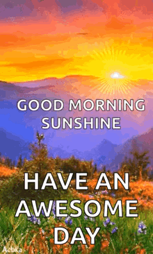 a good morning sunshine have an awesome day with a sunset in the background .