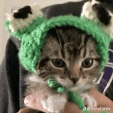 a cat wearing a green frog hat is being held by a person .