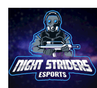 a logo for night striders esports shows a soldier holding a gun