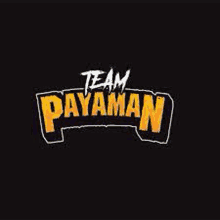 the logo for team payaman is yellow and white on a black background .