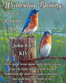 a wednesday blessing with two birds sitting on a wooden post