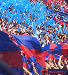 a crowd of people holding up red and blue umbrellas and balloons with the words musicuervo on the bottom right